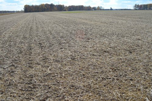 Property photo 17 - 75.3 Acres Offered in 2 Tracts